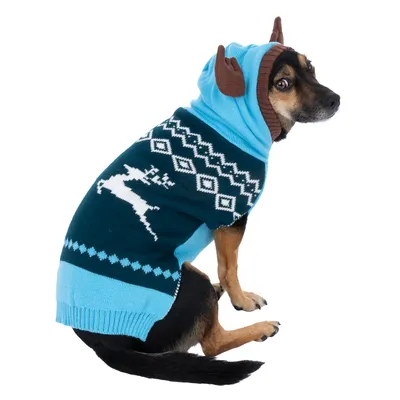 Hund trägt einen blau-grünen Pullover mit Rentier- und Musterdesign sowie Kapuze mit braunen Ohren.