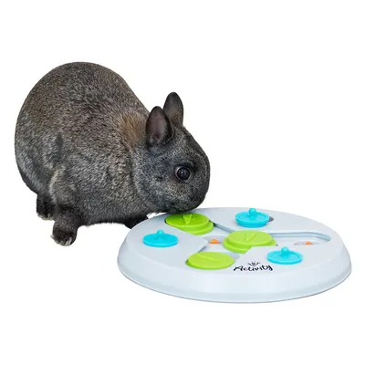 Kaninchen interagiert mit einem weissen Activity-Spielzeug mit grünen und blauen Elementen, das Futter versteckt.