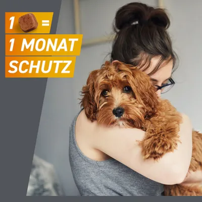 1 Stück = 1 Monat Schutz. Produktinformation für monatlichen Schutz, sichtbar mit einem Hund im Vordergrund.