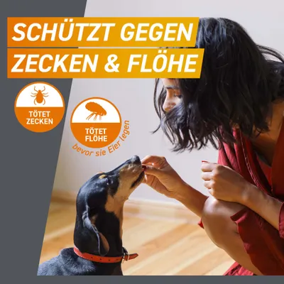Frontpro Kautablette gegen Zecken und Flöhe, für Hunde >10 bis 25 kg