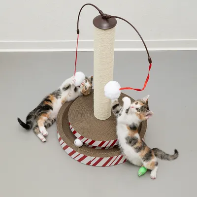 Arbre à chat avec griffoir en sisal, base en carton ondulé rayé rouge et blanc, deux balles blanches suspendues par des rubans rouges, deux chatons jouent autour.