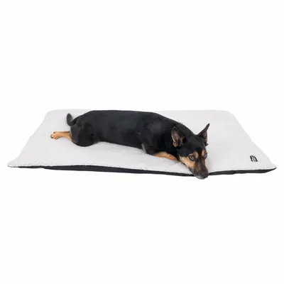 Dog lying on white, rectangular mat with black underside. Product shows use of a pet mat.