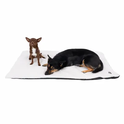 Two dogs lying on a white, fluffy dog mat. Product shows the size and comfort of the mat.