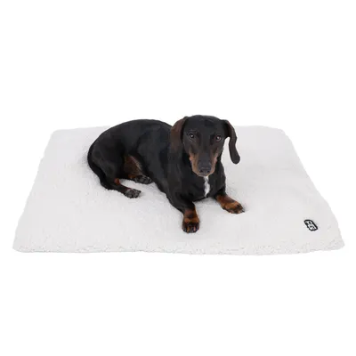 Dog lying on white, fluffy mat with visible logo in the corner.