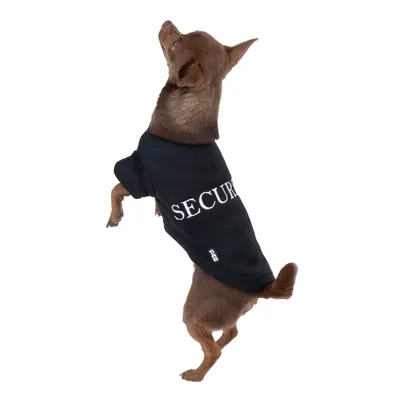 Malý pes má na sobě černé tričko s bílým nápisem 'SECURITY'.