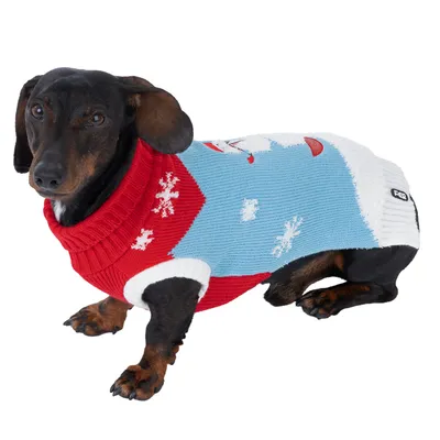 Hund trägt gestrickten Pullover in Rot, Blau und Weiss mit Schneeflocken-Muster. Sichtbares Logo: TRP.