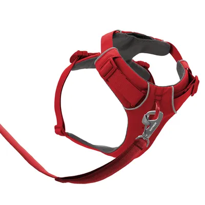 Red dog harness with adjustable straps, padded sections and metal clip for leash attachment.