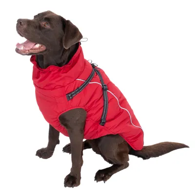 Cane con cappotto rosso con strisce rifrangenti e cinghie regolabili.
