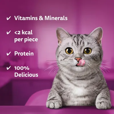Vitamins and minerals, less than 2 kcal per piece, protein, and 100% delicious highlighted as product features next to a cat.