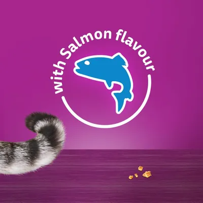 Text reads 'with Salmon flavour' next to a blue fish icon, with a striped tail and small food pieces visible on a purple background.