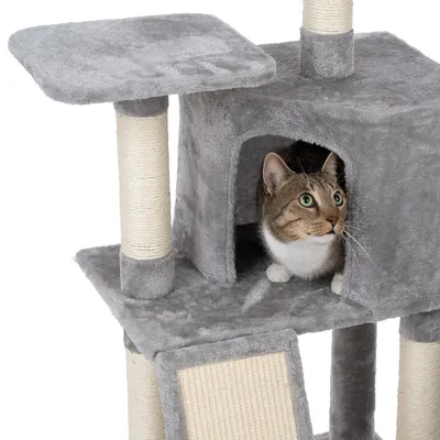 Grauer Kratzbaum mit Höhle, Plattformen und Sisalstämmen. Katze sitzt in der Höhle und schaut heraus.