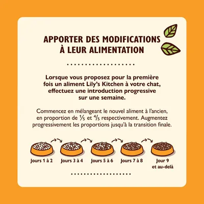 Conseils de transition alimentaire pour chat Lily’s Kitchen : introduction progressive sur une semaine, mélange des aliments anciens et nouveaux, proportions indiquées pour chaque étape, jours 1 à 9.