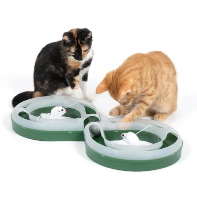 Dos gatos juegan con un juguete interactivo verde que contiene un ratón de tela blanco y una bola.