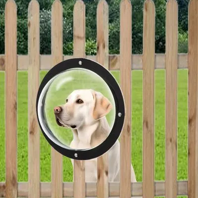 TIAKI Fenêtre de clôture "Gossip Dog"