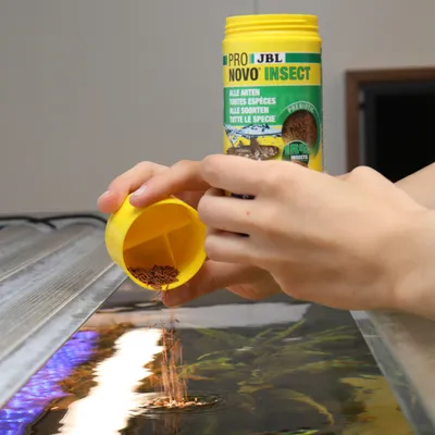 JBL Pro Novo Insect krmivo pro ryby je sypáno ze žluté dózy do akvária. Vhodné pro všechny druhy, s prebiotiky a 100% hmyzem.
