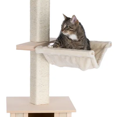 Árbol rascador con poste de sisal, plataforma de madera y hamaca beige. Gato sentado en la hamaca.
