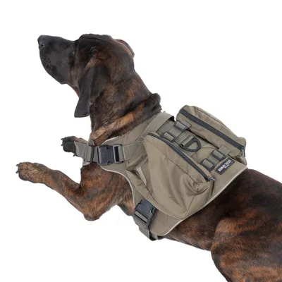 Hund trägt olivgrünen Rucksack mit verstellbaren Gurten und mehreren Taschen. Markenname 'MiniMax' sichtbar auf der Seite des Rucksacks.