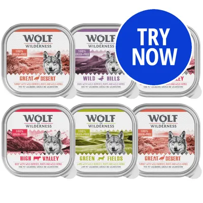 Wolf of Wilderness 100% grain-free food selection with flavours: Great Desert, Wild Hills, High Valley, Green Fields. Blue circle with white text reads 'Try Now'.