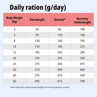 Tabella di alimentazione: razione giornaliera in grammi in base al peso corporeo per sovrappeso, peso normale e recupero/sottopeso. Valori da 3 a 60 kg, razioni da 60 a 740 g.