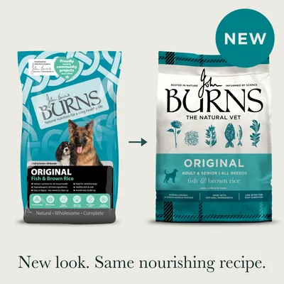 Burns Adult & Senior Original - Fish & Brown Rice - 6kg
