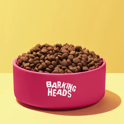 Bowl filled with dry kibble, showing the Barking Heads brand name on the front of the bowl.