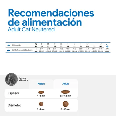 Cantidades recomendadas para gatos adultos esterilizados: peso, cantidad diaria en g y tazas. Comparación del tamaño de las croquetas para gatitos y adultos con diámetro y grosor.
