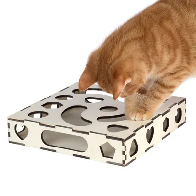 Chat roux posant une patte sur un jouet en bois carré avec plusieurs ouvertures de formes variées (cœur, cercle, losange).