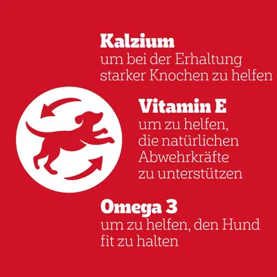 Kalcium az erős csontokért, E-vitamin az immunrendszer támogatására, Omega-3 a kutya fittségéért. Termékelőnyök kiemelve.