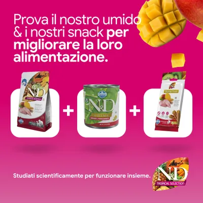 N&D Tropical Selection crocchette, N&D Prime Chicken & Pomegranate alimento umido e Dental Treat snack. Sviluppato scientificamente per una nutrizione ottimale. N&D Tropical Selection crocchette, N&D Prime Chicken & Pomegranate alimento umido e Dental Treat snack. Sviluppato scientificamente per una nutrizione ottimale.