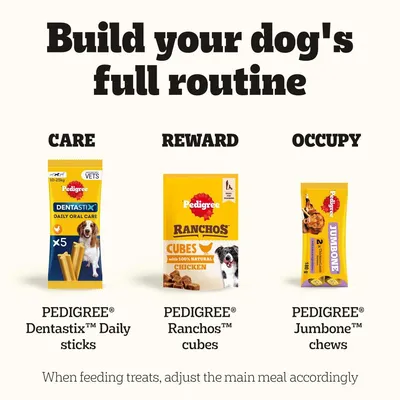 Three Pedigree products: Dentastix Daily sticks, Ranchos Cubes with chicken, and Jumbone chews. Categories: care, reward, activity. Note on adjusting the main meal.