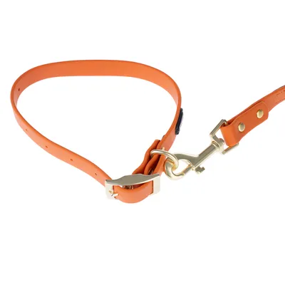 Oranje hondenhalsband met verstelbare gesp en goudkleurige metalen sluiting, verbonden met bijpassende lijn.
