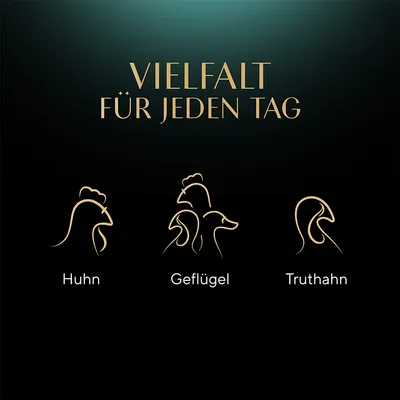 Текст на немецком: VIELFALT FÜR JEDEN TAG. Подписи: Huhn, Geflügel, Truthahn с контурными изображениями курицы, птицы и индейки.