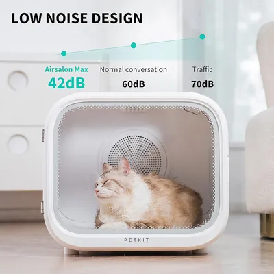 PETKIT AirSalon Max with low noise level of 42dB. Comparison: normal conversation 60dB, traffic 70dB. Cat relaxed in device. Low noise design highlighted.