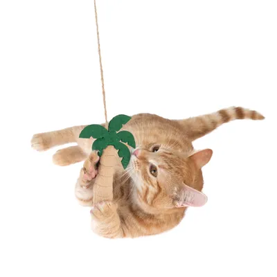 Chat roux jouant avec un jouet suspendu en forme de palmier, tronc entouré de corde et feuilles vertes en feutrine.