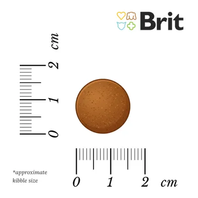 Brit Care Hypoallergenic Junior Large Breed Lamb & Rice