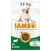 IAMS Advanced Nutrition Adult Large Dog mit Lamm