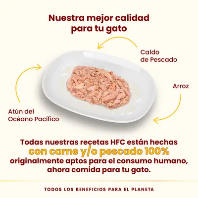 Pack Ahorro Almo Nature HFC 24 x 70 g