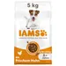 IAMS Advanced Nutrition Senior Small & Medium Dog 8+ s kuracím