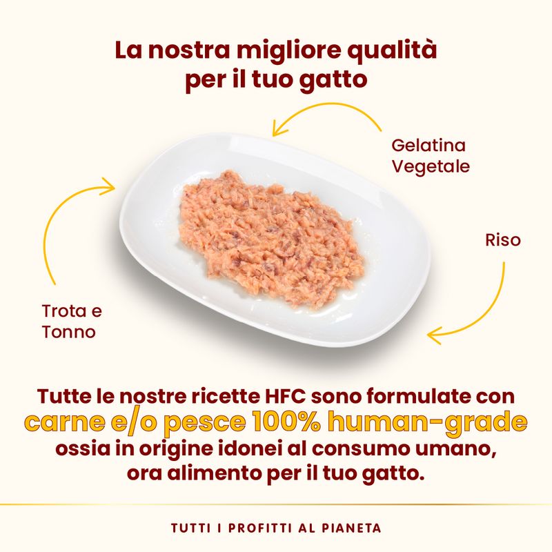 Almo Nature HFC Natural 12 x 70 g umido gatto