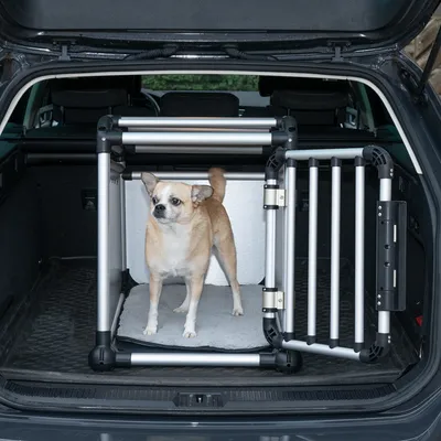 Transportbox aus Metall und Kunststoff im Kofferraum eines Autos, mit einem kleinen Hund darin stehend.