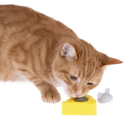 Rote Katze untersucht ein gelbes Produkt mit einer grauen Mausfigur darauf.