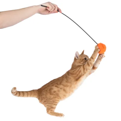 Varita de juego con bola de peluche naranja, sostenida por una mano. Gato salta y atrapa la bola.
