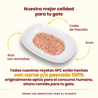 Pack Ahorro Almo Nature HFC 24 x 70 g