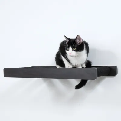 Schwarze Wandliege aus Holz mit schwarzem und weissem Kissen, darauf sitzt eine schwarz-weisse Katze.