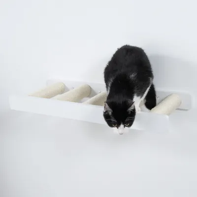 Wandmontiertes Kratzbrett mit drei Sisalrollen, schwarze und weisse Katze klettert darauf.