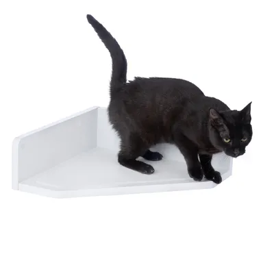 Gatto nero su una mensola bianca con bordo rialzato, adatta come superficie per sdraiarsi o sedersi.