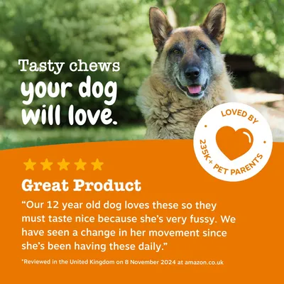 Zesty Paws Senior Hip & Masticables para articulaciones Pavo Zesty Paws Senior Hip & Masticables para articulaciones Pavo