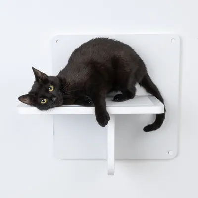 Zwarte kat ligt op een witte wandhouder met twee niveaus, geschikt als ligplek of klimhulpmiddel.