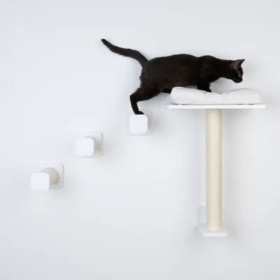 Gatto nero su gioco da arrampicata da parete bianco con colonna tiragraffi in sisal e superficie imbottita. Tre gradini conducono alla piattaforma.