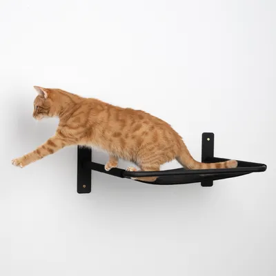 Amaca nera da parete con un gatto arancione sopra, adatta come superficie di riposo per pet.